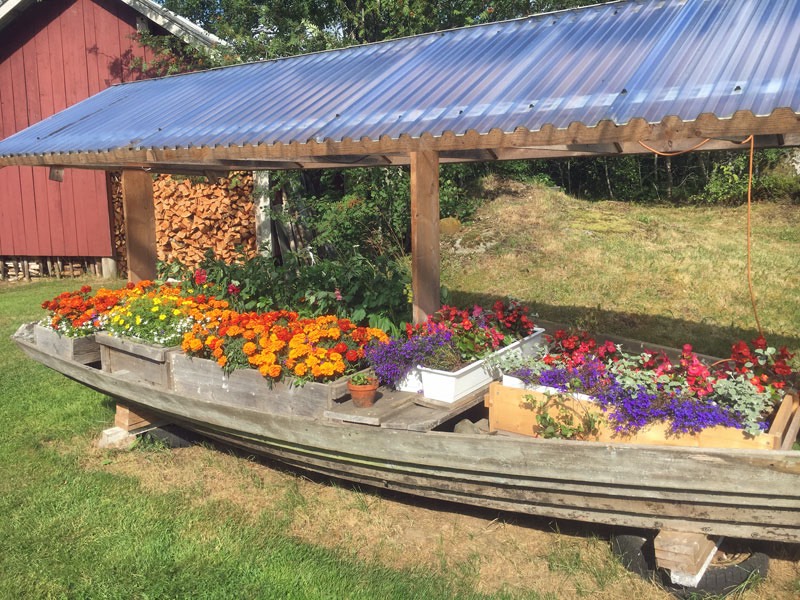 Den välkända blomsterekan på Ödesbacka. Den 31 juli 2017.