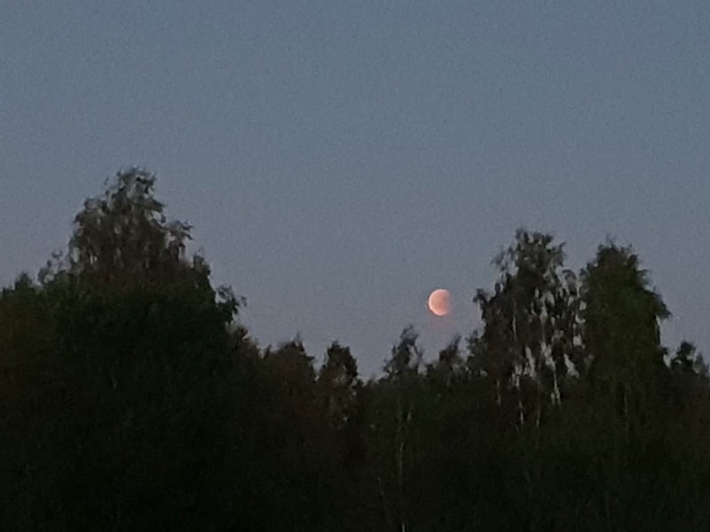Den 27 juli på kvällen inträffade en total månförmörkelse sk ”rödmåne”. Tyvärr misslyckades mina försök till fotografering p g a moln. Här har lag lånat ett foto av Peter Nordin taget vid Grådö.
