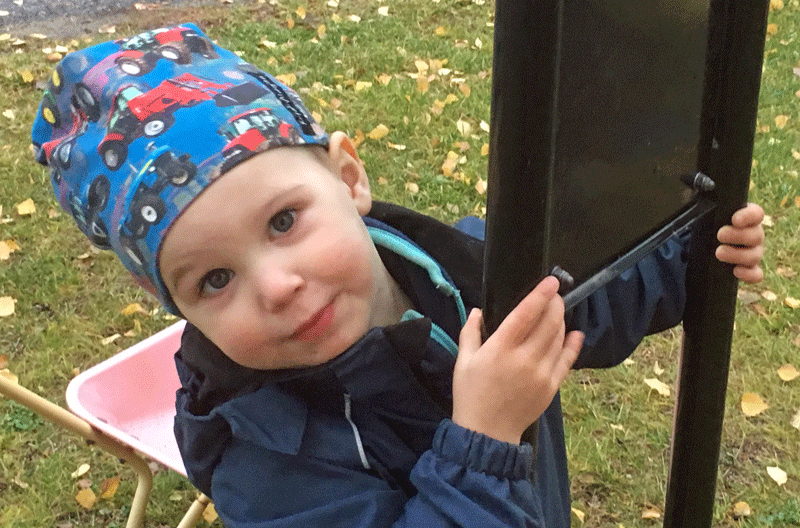 Neo på väg hem från Gladan. 29 oktober 2018.