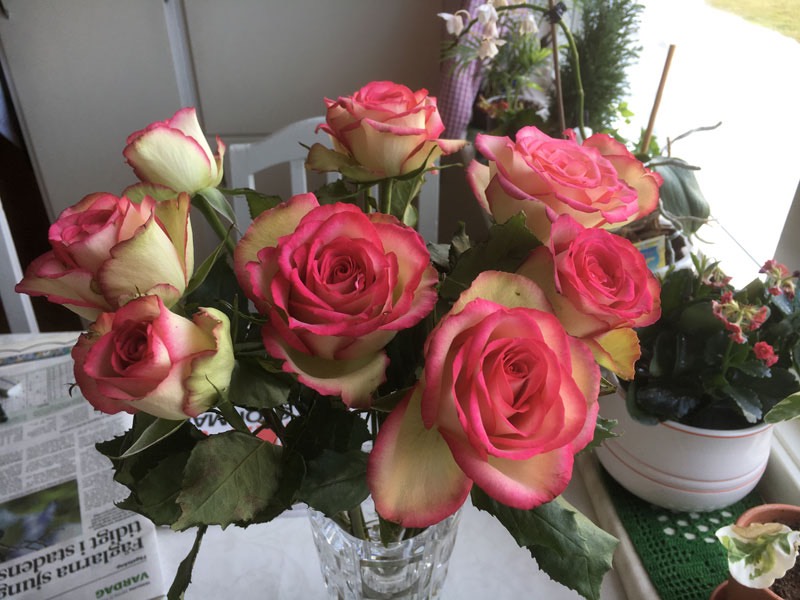 Blommar i mängd!