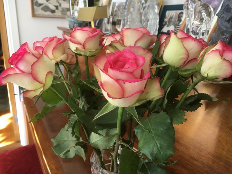 Blommar i mängd!