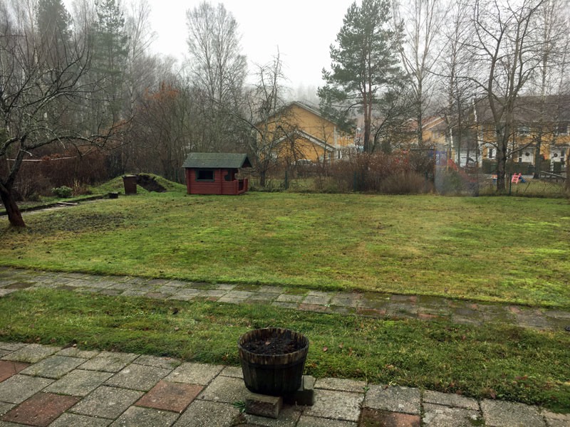 En riktigt grön, jul 25 december 2019.