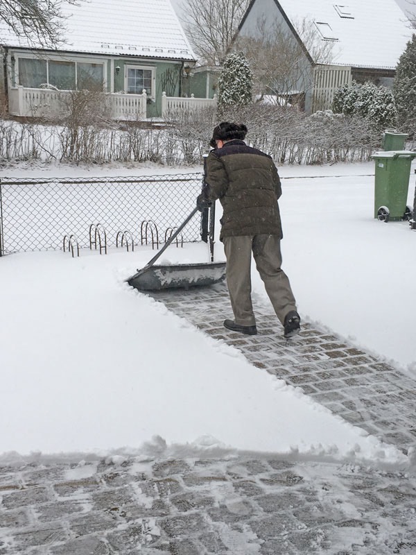 En av få gånger som marken här (Vendelsömalm) har varit täckt av snö den här vintern. 27 februari 2020.
