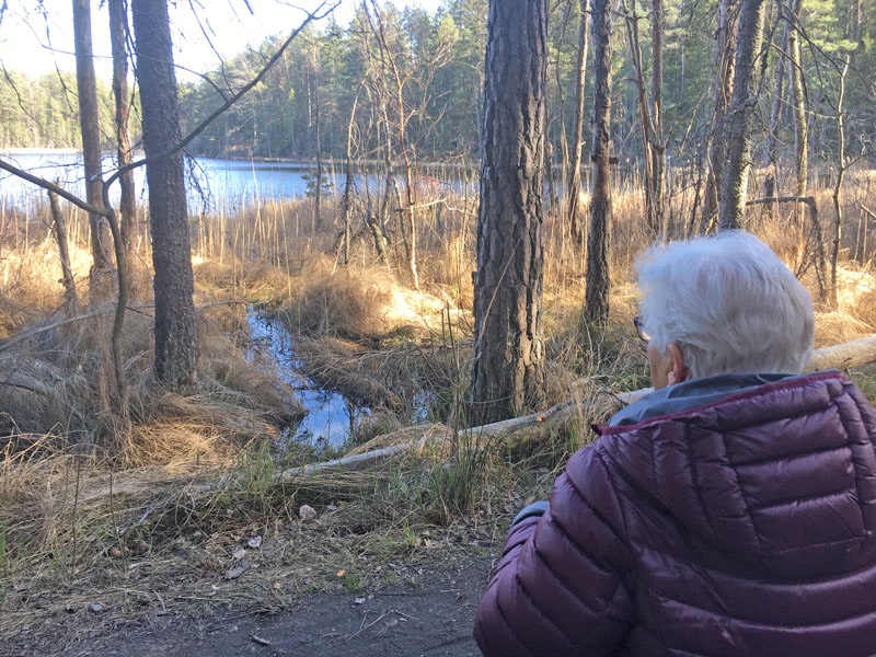 Onsdagspromenad till Bylsjön, Tyresta Nationalpark. 15 april 2020.