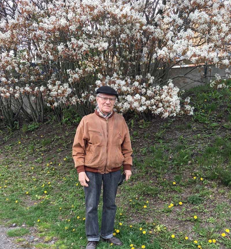 Elsie och jag är ute på vår dagliga promenad. 3 maj 2020. Häggmispel.