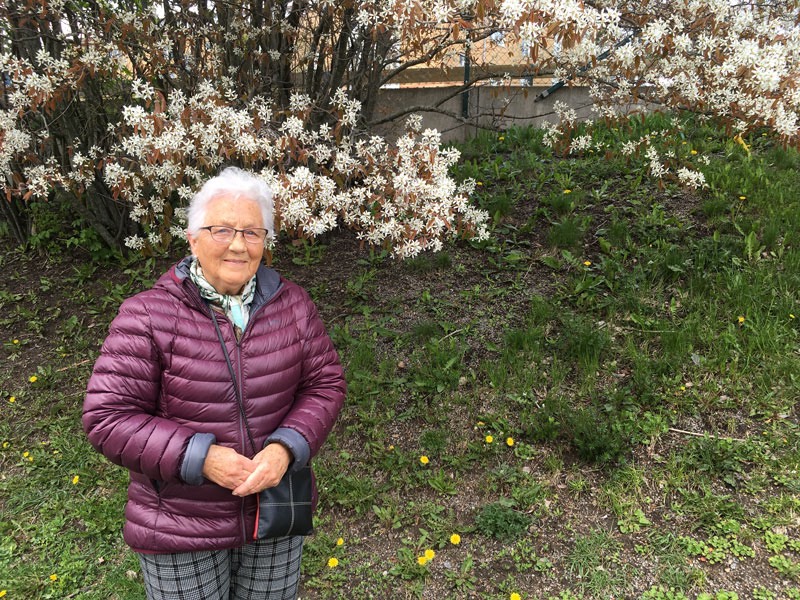 Elsie och jag är ute på vår dagliga promenad. 3 maj 2020. Häggmispel.