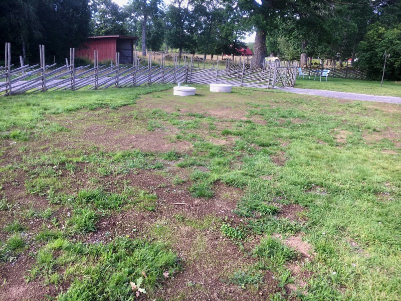 Efter härt arbete och många traktorskopor grus och jord under juli månad börjar nu spåren utplånas efter anlägg-ningsarbetena för det nya avloppssystemet. Tre bilder nedan!
Gräsmattan återställd med nysått gräs efter avloppsgrävningen. 31 juli 2020.