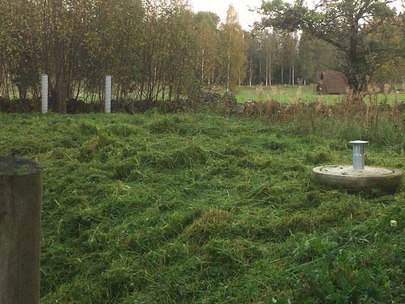 En gråsbeklädd infiltrationsbädd. 15 september 2020.