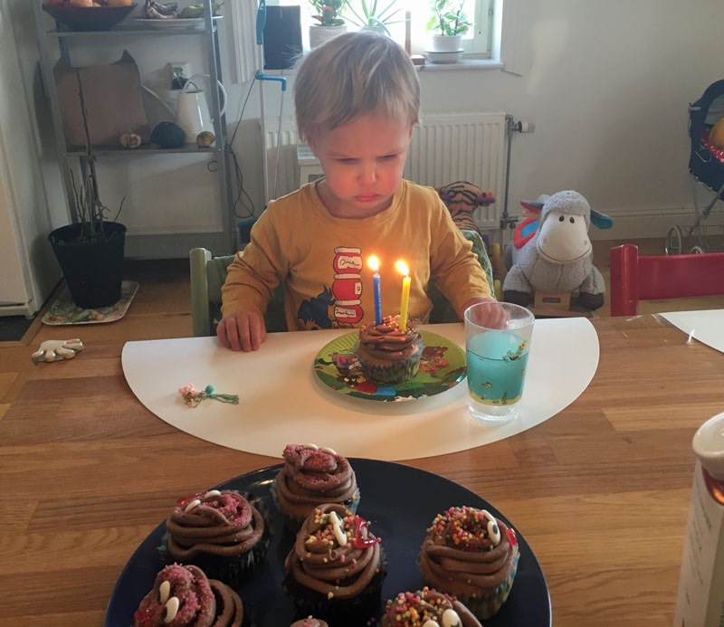 Vi firar Ida som fyllt 2 år den 6 november 2020.