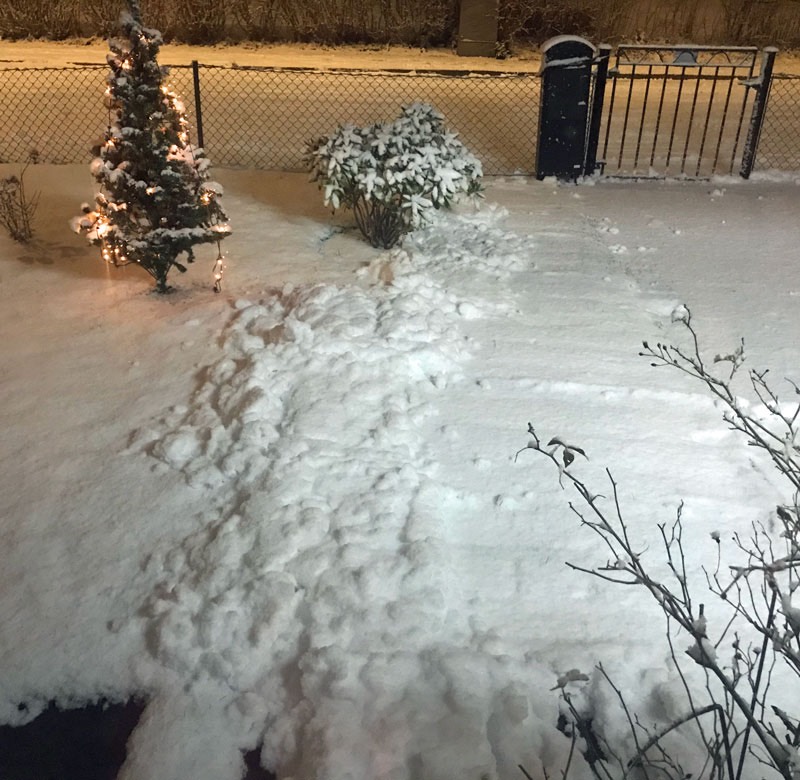 Natten till juldagen kom den första snön, ca 4 cm, som dock smälte bort ett dygn senare. 25 december 2020.
